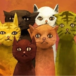 Puzzle équipe de chats 500 pièces