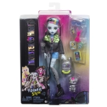 Poupée Monster High Frankie Stein avec accessoires