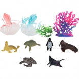 Ensemble d’animaux marins et de coraux