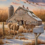 Puzzle COBBLE HILL chemin de campagne hivernal 1000 pièces