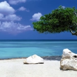 Puzzle panoramique Divi Divi tree à Aruba 1000 pièces HEYE