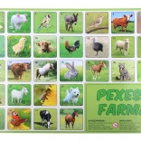 Pexeso Ferme – jeu de mémoire avec des animaux