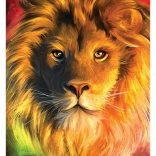 Puzzle Anatolian Lion 1000 pièces