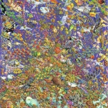 Puzzle Ravensburger Récif corallien 1500 pièces