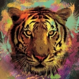 Puzzle Tigre 150 pièces