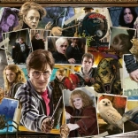 Harry Potter : puzzle Voldemort 1000 pièces