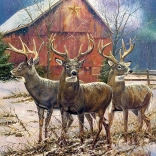 Puzzle Trois Rois 1000 pièces