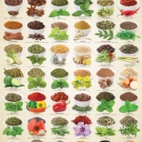 EUROGRAPHICS puzzle herbes et épices 1000 pièces