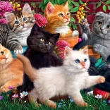 Chatons espiègles Puzzle 260 pièces