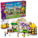 LEGO Friends Café vert et fleuriste