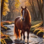 Peinture diamant – cheval dans un ruisseau forestier 30 × 40 cm
