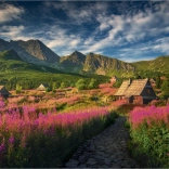 Puzzle Vallée de Gaseinicova 1000 pièces