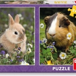 Puzzle pour enfants Lapin et cochon d’Inde 2×48 pièces