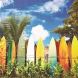 Puzzle Paradis du surf 1000 pièces EUROGRAPHICS