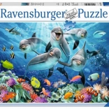 Puzzle 500 pièces – dauphins RAVENSBURGER
