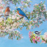 Puzzle Festival des fleurs XL 275 pièces de Cobble Hill