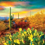 Puzzle Eurographics Rêves du désert 1000 pièces