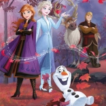 Puzzle maxi 60 pièces Frozen 2