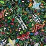 Puzzle Miracles Ailés 1000 pièces de Gibsons