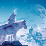 Puzzle RAVENSBURGER Chant de l’aube 1500 pièces