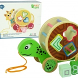 Tortue à tirer en bois avec trieur et blocs
