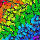 Puzzle Papillons Arc-en-ciel 1000 pièces