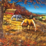 Puzzle COBBLE HILL Rencontre sur la pente 2000 pièces