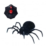 Araignée Veuve noire télécommandée