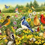 Puzzle Ravensburger Prairie aux oiseaux 500 pièces