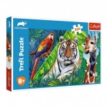 Puzzle Animaux extraordinaires 300 pièces 60 × 40 cm