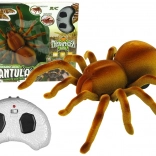 Tarantule RC à télécommande infrarouge – marron
