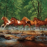 Puzzle Klus à Spring Creek 1000 pièces