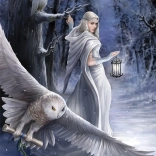 Puzzle Anne Stokes Messager de minuit 1000 pièces