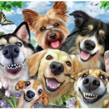 Puzzle Selfie de chiens 500 pièces Ravensburger