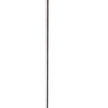 Pivert en bois avec ses petits