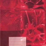 Cahier scolaire A4 60 feuilles ligné Eco – fleurs rouges