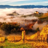 Enjoy puzzle Dans le vignoble 1000 pièces