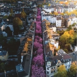 Puzzle Ravensburger 1500 pièces Bonn, Allemagne