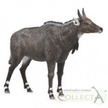 Figurine Nilgai COLLECTA