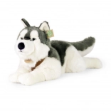 Chien Husky en peluche 60 cm ÉCOLOGIQUE