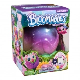 Hatchimals bourgeon magique avec surprise – transformation de la chenille en papillon