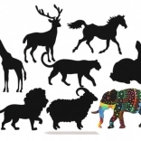 Images à gratter d’animaux - arc-en-ciel 8 pcs