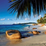 Puzzle Ravensburger Sous les palmiers 1000 pièces