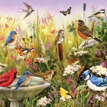 Puzzle COBBLE HILL Amis à plumes 1000 pièces