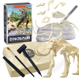 Woopie jouet créatif squelette de dinosaure fouilles archéologiques