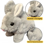 Peluche Lapin Gris 18 cm
