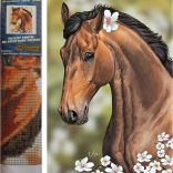 Norimpex peinture au diamant Cheval avec fleurs 30x40 cm