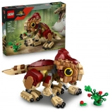 Lego Jurassic World bébé dinosaure Dolores Aquilops set de construction