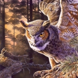 Puzzle Chasseur du Soir 1000 pièces