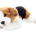 Beagle en peluche éco-responsable 23 cm